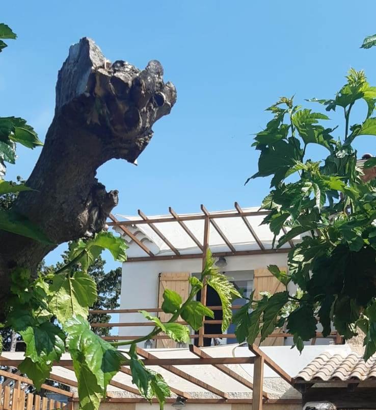 L'En Haut Aramon Exterior foto